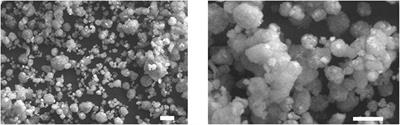 Cellulose and Lignin Nano-Scale Consolidants for Waterlogged Archaeological Wood